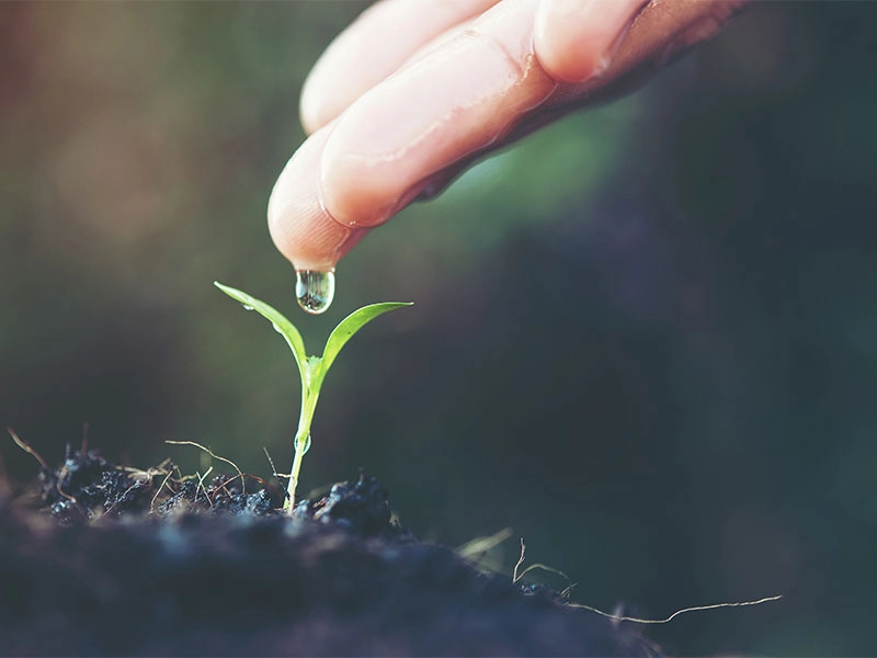 Tous les soins sont réalisés avec le meilleur respect de l'environnement possible.